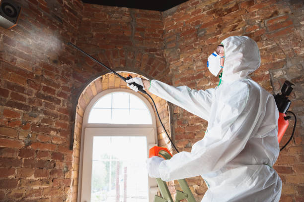 Best Mold Odor Removal Services  in Wellsville, KS