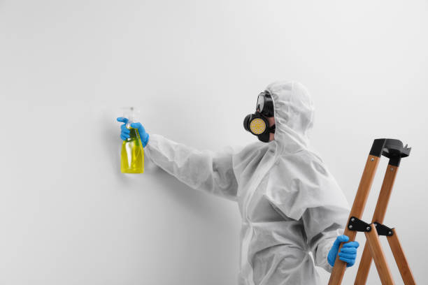 Best Commercial Mold Inspection  in Wellsville, KS